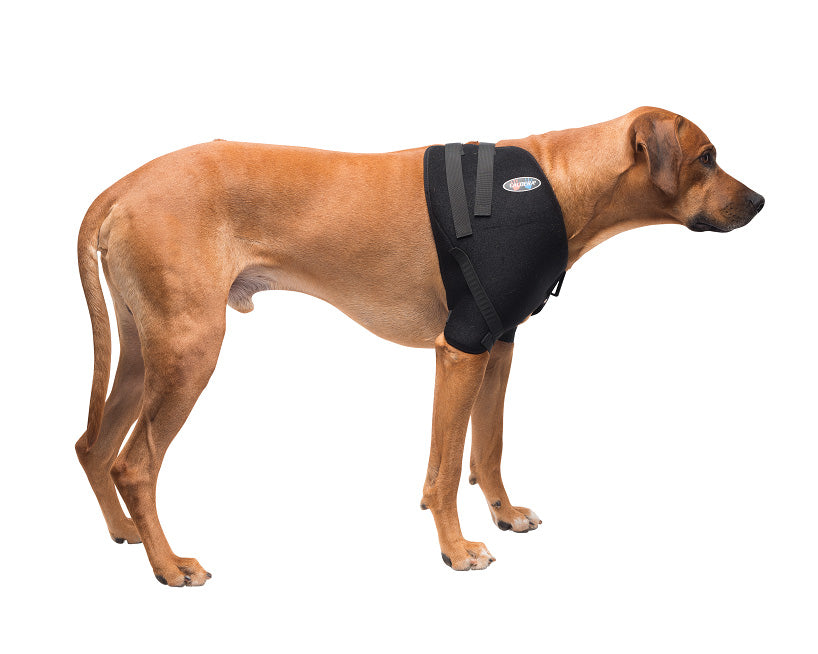 
                  
                    Large Shoulder Pet Therapy Wrap
                  
                