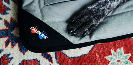 therapeutic beds for dogs