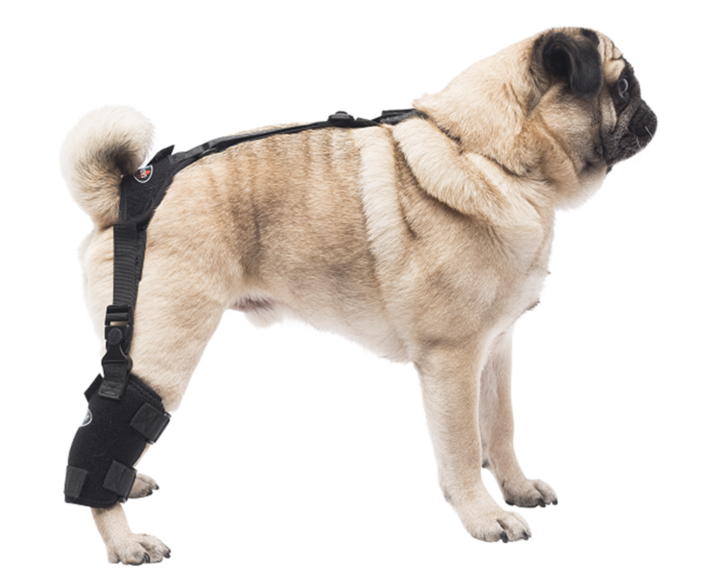 
                  
                    Small Universal Pet Therapy Wrap - Tarsal
                  
                