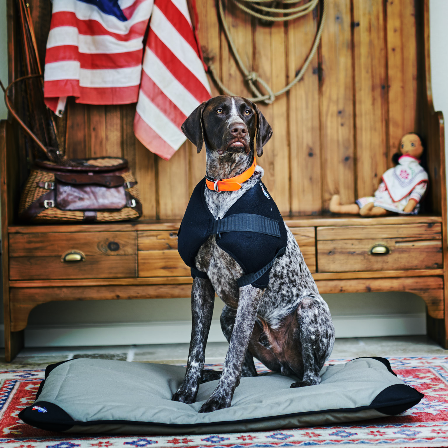 Products for Pets