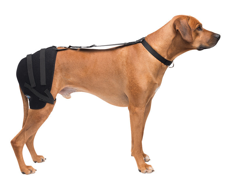 Large Hip Pet Therapy Wrap