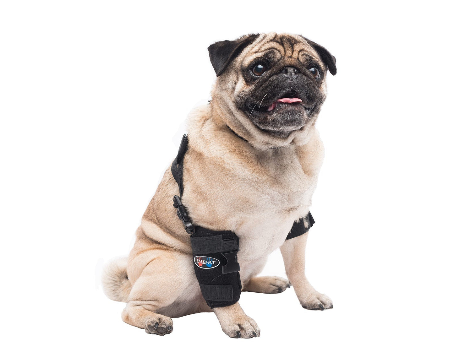 
                  
                    Small Universal Pet Therapy Wrap - Elbow
                  
                